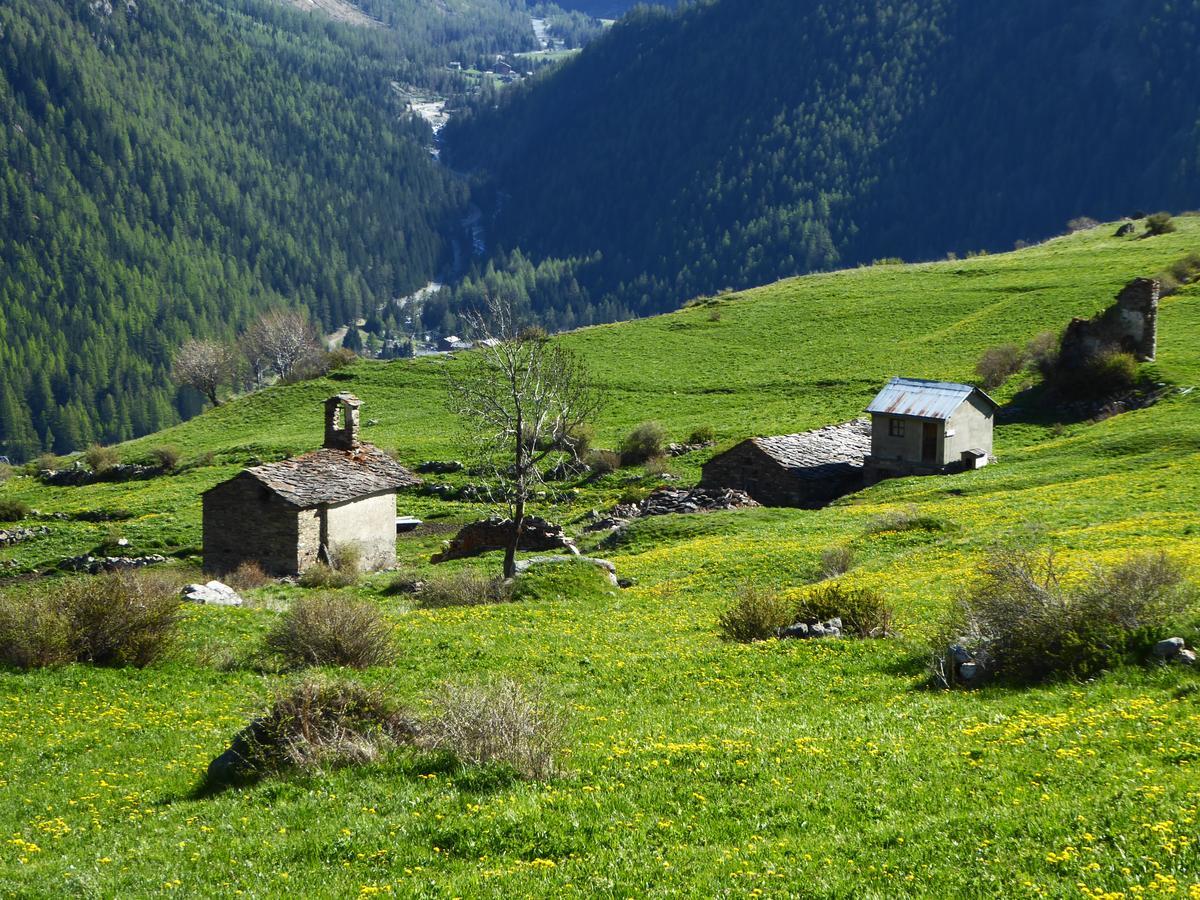 Hotel Locanda Grauson Cogne Zewnętrze zdjęcie